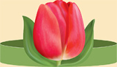 Ободок бумага Красный тюльпан