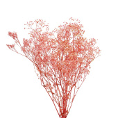 Украшение декор Сухоцвет Гипсофила стабилизированная Розовый 110 гр +- 10 гр