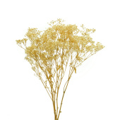 Украшение декор Сухоцвет Гипсофила стабилизированная Кремово-белый 110 гр +- 10 гр