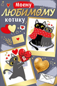 открытка Моему любимому котику