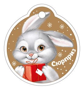 Бирка для подарка Сюрприз (20шт)