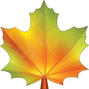 Украшение на скотче 10,6х10,6см Кленовый лист (10шт)