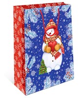 Пакет BC 18х22,3х10см