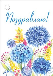 Бирка Поздравляю (20шт) ИмП