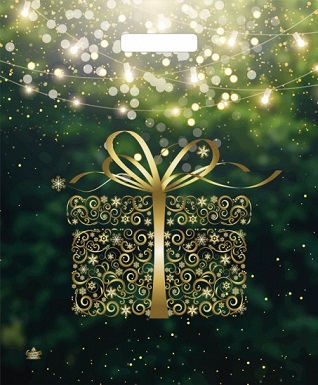 Пакет ПЭТ с вырубной ручкой 45х38см Золотой подарок