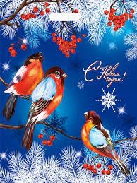 Пакет ПЭТ с вырубной ручкой 41х51см Снегири на ветке