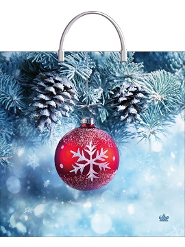 Пакет ПЭТ с пластиковой ручкой 36х37см Морозное настроение