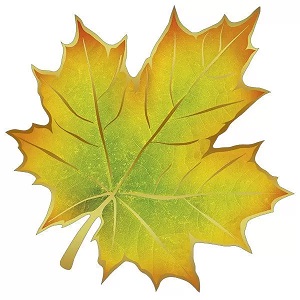 Украшения на скотче 16х16см Кленовый лист (20шт) /ИмП