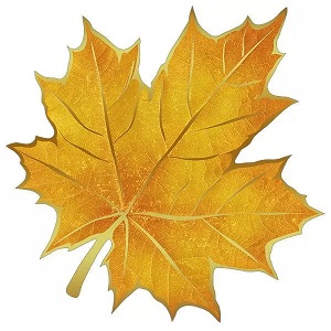 Украшения на скотче 16х16см Кленовый лист (20шт)