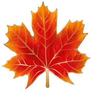Украшения на скотче 16х16см Кленовый лист (уп20) 59-054-00/ИмП