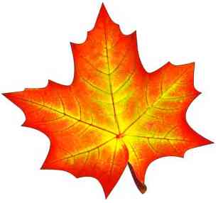 Украшение на скотче Кленовый лист 20х20см (10шт)