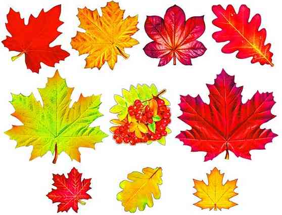 Украшение на скотче Листья осенние (уп10)