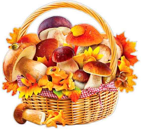 Плакат Корзина с грибами А2