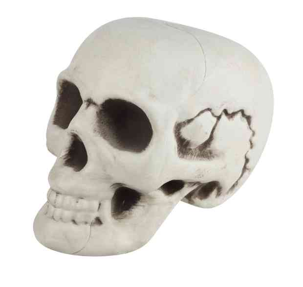 Декоративное украшение Череп 18х135х12см ВВ