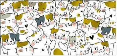 Конверт для денег Без надписи ФДА