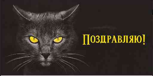 Конверт для денег Поздравляю!