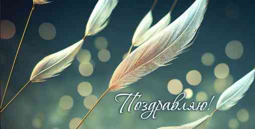 Конверт для денег Поздравляю!