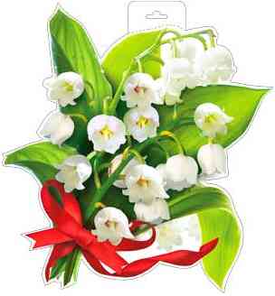 Плакат Ландыши ФДА