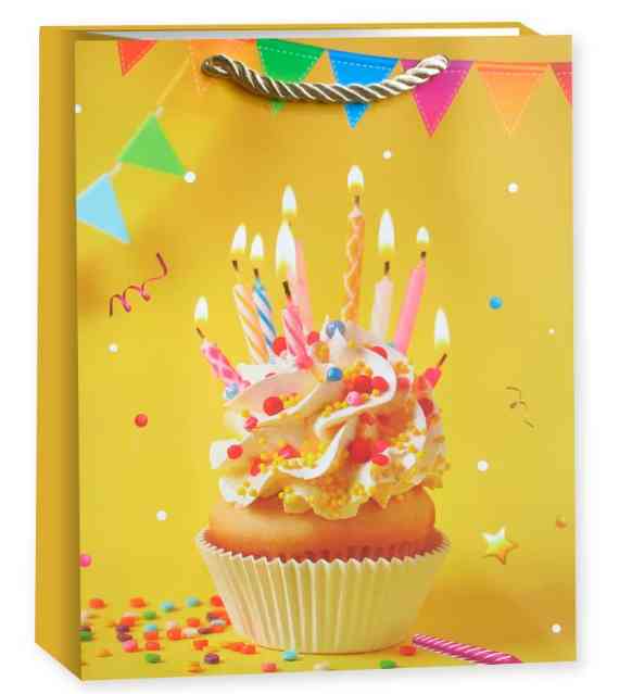 Пакет бумажный XL 31х41см Яркий День Рождения Дизайн №4