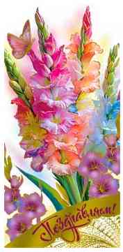 Конверт для денег Поздравляем!