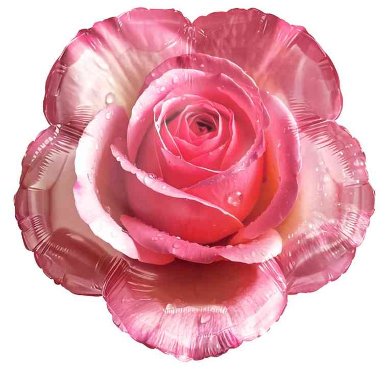 Шар фольга фигура Утренняя роза 18" 46смFL