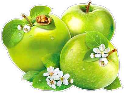 Плакат Яблоки