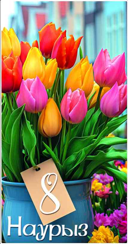 Конверт для денег 8 Наурыз Алхат