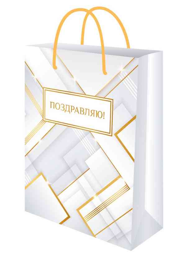 Пакет бумажный ML 22х31см Графика Миленд