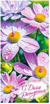 Конверт для денег С Днем Рождения! ФДА