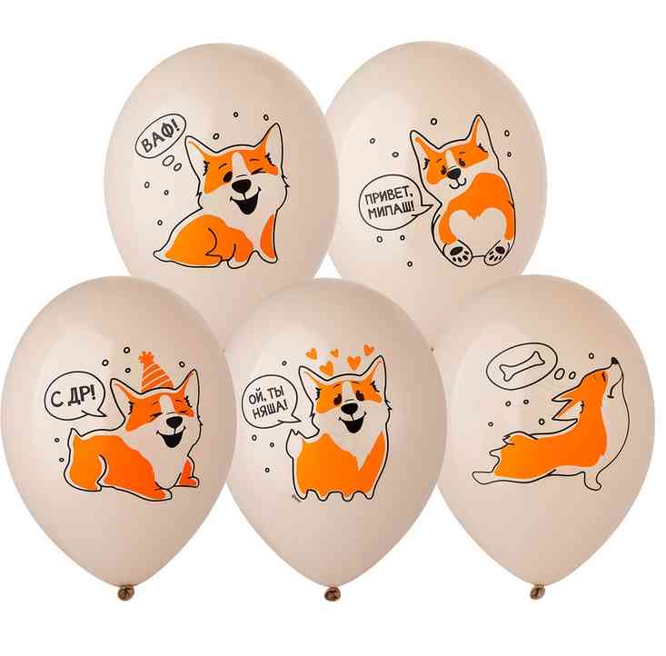Шар латекс с рисунком 14" Bb пастель С ДР Корги (50шт)