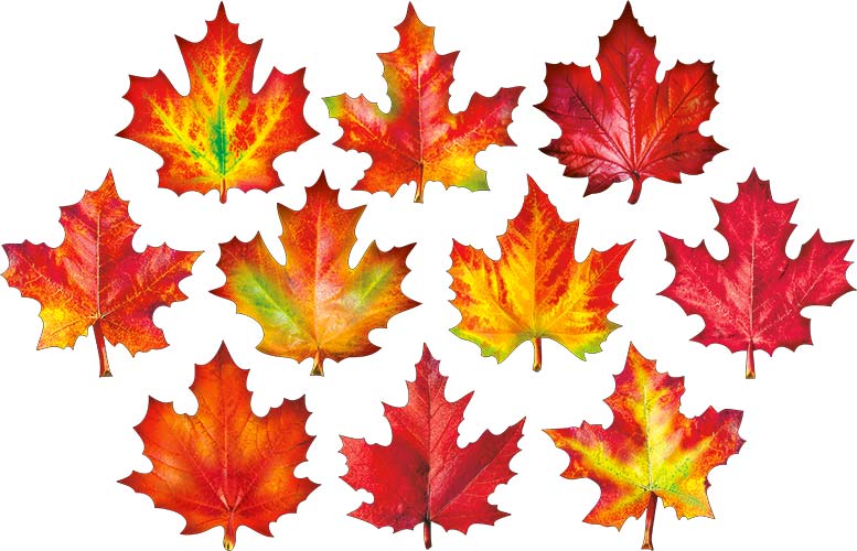 Украшение на скотче набор Кленовые листья (уп10)