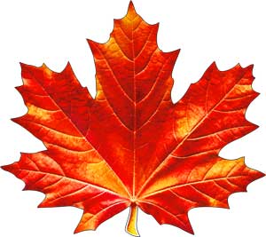 Украшение на скотче Кленовый лист