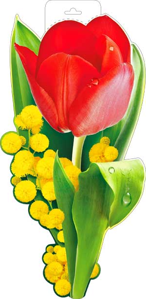 Плакат Весенние цветы ФДА