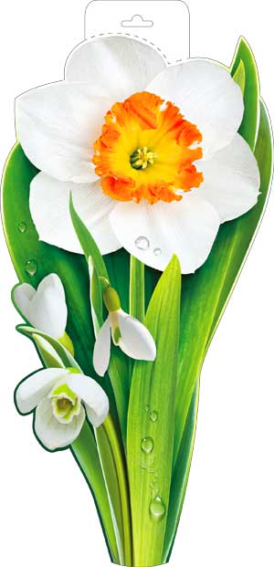 Плакат Весенние цветы ФДА