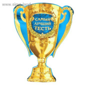 Магнит кубок Самый лучший тесть 71х93см