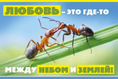 открытка Любовь - это где-то
