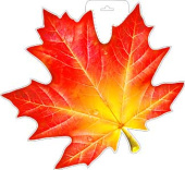 Плакат Кленовый лист