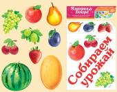Украшение на скотче Собираем урожай (Фрукты и ягоды)