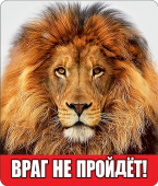 Магнит виниловый Враг не пройдет
