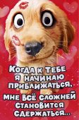 открытка Когда к тебе