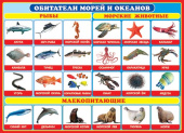 Плакат Обитатели морей и океанов