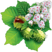 Украшение на скотче 19,6х19,6см Каштан