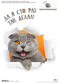 Наклейки для оформления
