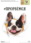 Наклейки для оформления
