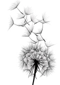 Постер 210х297
