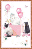 Открытка Кошки