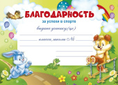 Благодарность За успехи в спорте