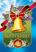 Диплом Выпускнику