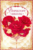 Директору школы