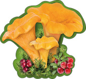 Украшение на скотче Грибы